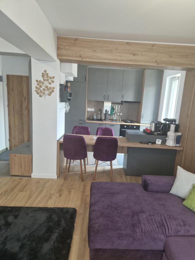 Casa Mov Apartment Brașov Exterior foto
